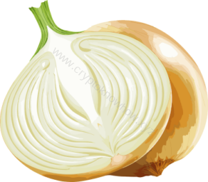 Blockchain layers represented in an image of an onion.